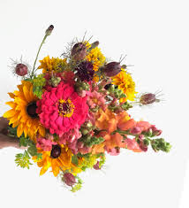 Maybe you would like to learn more about one of these? Spongetta S Garden Localharvest
