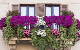 urban gardening ideas how to grow plants without a garden balcony flowers small hanging veggies
