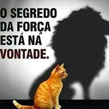 Marque Seus Amigos Vidasaudavel Esmagaquecresce Dietas Dieta Emagrecer Estilodevida Bumbumnanuca Academia Fitness Dietalami Pinterest Humor Quotes Words