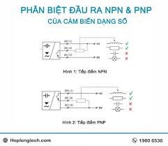 Cách phân biệt tín hiệu PNP và NPN chính xác nhất