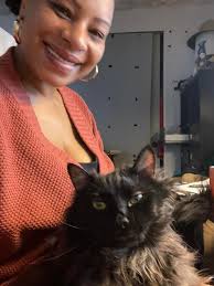 I am very interested in golden Maine coons Love them