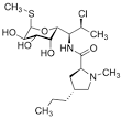 Clindamycin 