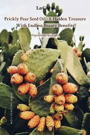 Cereus, golden barrel, parodia, hedgehogs, mammillarias, melocactus native to the sonoran desert, the purple prickly pear grows in clumps. Prickly Pear Seed Oil A Hidden Treasure With Endless Beauty Benefits Prickly Pear Recipes Prickly Pear Pear Health Benefits
