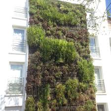 Mur Vegetal Region Parisienne Binnentuin