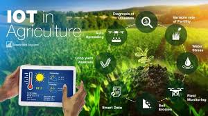 Iot In Agriculture In 2020 Iot Agriculture Agriculture Industry