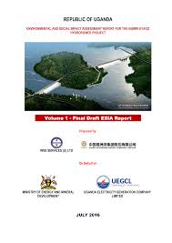 Image result for Dissotis anchietae