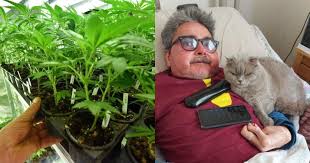 Walter de benedetto, affetto da artrite reumatoide martedì 27 aprile rischia la condanna con walter de benedetto ha 49 anni e dal 2011 allevia con la cannabis terapeutica i dolori atroci dell'artrite. C46asszwhbnzqm