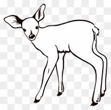 Cartoon moose coloring pages free download and others 10000+ free printable coloring pages for kids and adults! Big Image Baby Deer Coloring Pages Free Transparent Png Clipart Images Download