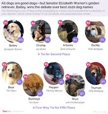 Dogs In The White House Which 2020 Dog Names Are Winning America S Vote Yougov Dog name venue dog breed earliest date. which 2020 dog names are winning