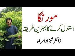 How To Use Moringa For Maximum Benefits By Dr Shahzad Basra Youtube Moringa Health Articles Wellness Health Articles