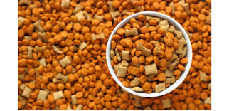 Understanding a siberian husky's diet requirements. Siberian Husky Feeding Tips