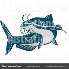 Catfish Pictures Clip Art Clip Art Illustration Art