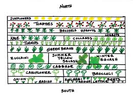 How to map out a garden. Seven Tactics For Planning Next Year S Garden Backwoods Home Magazine