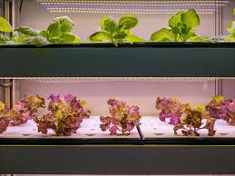 Hos nordnet kan du handla från 0 kr i courtage. New Oem Agreement For Shelf And Lighting Panels For Vertical Farming