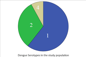 Pie Chart Showing The Frequencies Of Different Dengue Virus