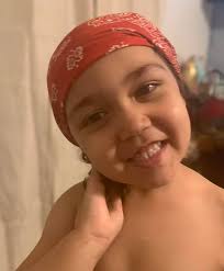 Special Rabbit with 71% Tri-Color Background