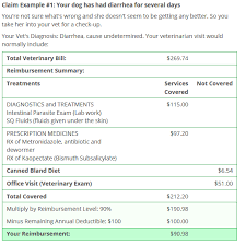 More than a million pets protected. Healthy Paws Pet Insurance Review 2021 Rated 1 For Pets