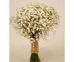 Best Of Baby S Breath Flowers Melbourne And Pics Best Flower Delivery Flower Delivery Same Day Flower Delivery
