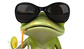 WhatsApp: por qué tus contactos se ponen una rana de perfil | Auto Bild  España