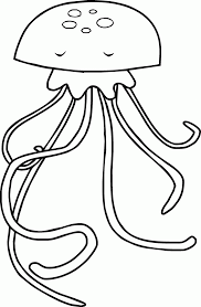 Kumpulan sketsa gambar hewan untuk mewarnai anak binatang untuk. Contoh Gambar Mewarnai Gambar Ubur Ubur Kataucap