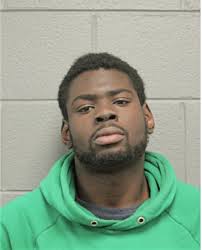 ᐅ Illinois Criminal Records 2009-2025