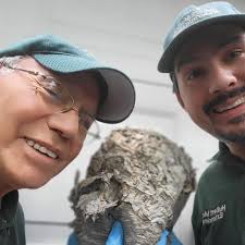 TOP 10 BEST Bee Removal near New Hyde Park, NY