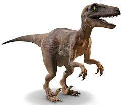 Check spelling or type a new query. Not Ready For A Real Life Jurassic World Study These Subjects To Prepare Study Com