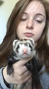 Hi lovely humans! I brought Reginald out to play with me