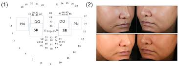 Automatic Measurement of Comprehensive Skin Types Based