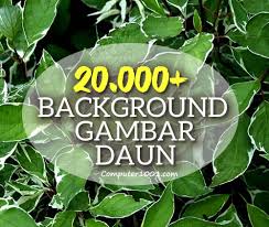 Abul hasan ghaffari menunjukkan keahliannya dalam mencampur warna, keseimbangan dan ketelitian. Download 20 000 Background Gambar Daun Computer 1001