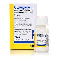 Clavamox Drops Oral Antibiotic For Dogs Cats Petcarerx