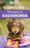 Dachshund Puppies For Sale - AKC PuppyFinder