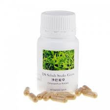 Inhibition of neutrophil responsiveness 2. Ds Sabah Snake Grass 60 Capsules Shopee Malaysia