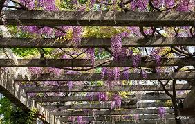 Couple turn 'awful' decking into garden pergola using b&m and dunelm bargains. Pergola Die Etwas Andere Terrasse Garten Und Freizeit