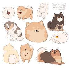 Shai Gomi With Images Cute Animal Drawings Animal Drawings Dog Illustration