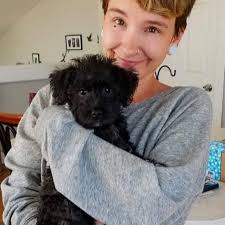 Beware of Foxtails!! 🙅‍♀️ This is Doc. We had to sedate and remove a  foxtail that ruptured his eardrum. Dr. Richardson is using the otoscope and  forceps to remove the foxtail, being