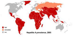 There are several things that can cause hepatitis, including viral infections, autoimmune conditions, and heavy alcohol use. Tropeninstitut Impfung Hepatitis A