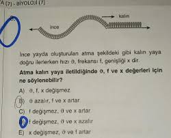 Yay Dalgaları Soruları ve Cevapları, Soru Çözümü, Soru Bankası - Kunduz