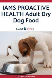 Pin On Safe Dog Treats