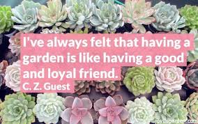Your favorite blooms — from roses and peonies to lilies and daisies — send specific messages. 10 Inspiring Garden Quotes