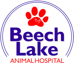 Welcome to gull lake animal hospital! Beech Lake Animal Hospital Veterinarian
