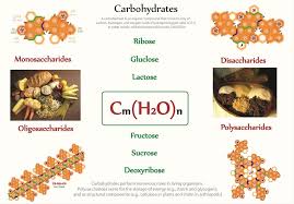 Tetryonics 59 01 Carbohydrates Sugars Are Needed By Our Body For Energy They May Be Called Different Names Eg Sucrose Glucose High Fructose Corn Syrup