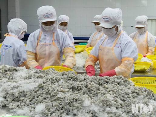 Ninh Thuận: Phát triển vùng nguyên liệu tại địa phương - Hải sản Đại Nam