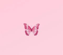 Maybe you would like to learn more about one of these? Butterfly Aesthetic Wallpaper Pink Butterfly Mania