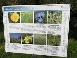 Maybe you would like to learn more about one of these? Things To Do In Killorglin A Sneak Peek Of The Best Attractions