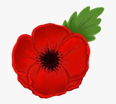 The images above represents how your finished drawing is going to look and the steps involved. Poppy Clipart Anzac Poppy Flower Drawing Hd Png Download Transparent Png Image Pngitem