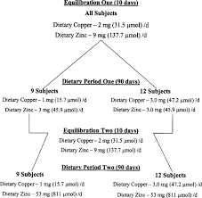 Calcium zinc magnesium + d3. A Moderately High Intake Compared To A Low Intake Of Zinc Depresses Magnesium Balance And Alters Indices Of Bone Turnover In Postmenopausal Women European Journal Of Clinical Nutrition
