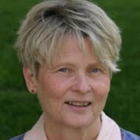 19 Experts In "poverty law" • Expertise Finder Network