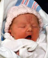 Coniglio Generation Four