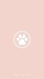 Birthday Wishes Instagram Highlight Cover Pink Instagram Highlights Cover Pink Edition Instagram Icons Instagram Highlight Icons Instagram Aesthetic